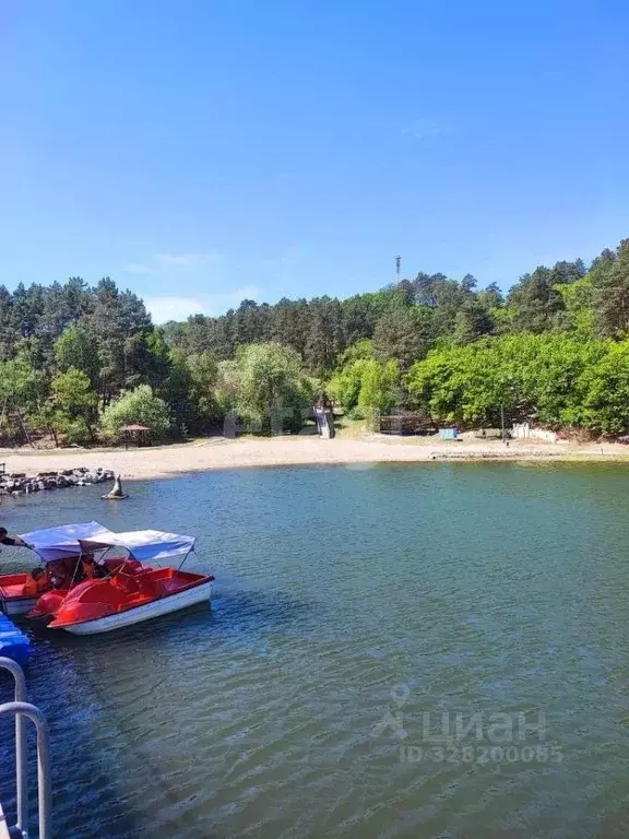 Дом в Амурская область, Благовещенск городской округ, пос. Мухинка 7 ... - Фото 2