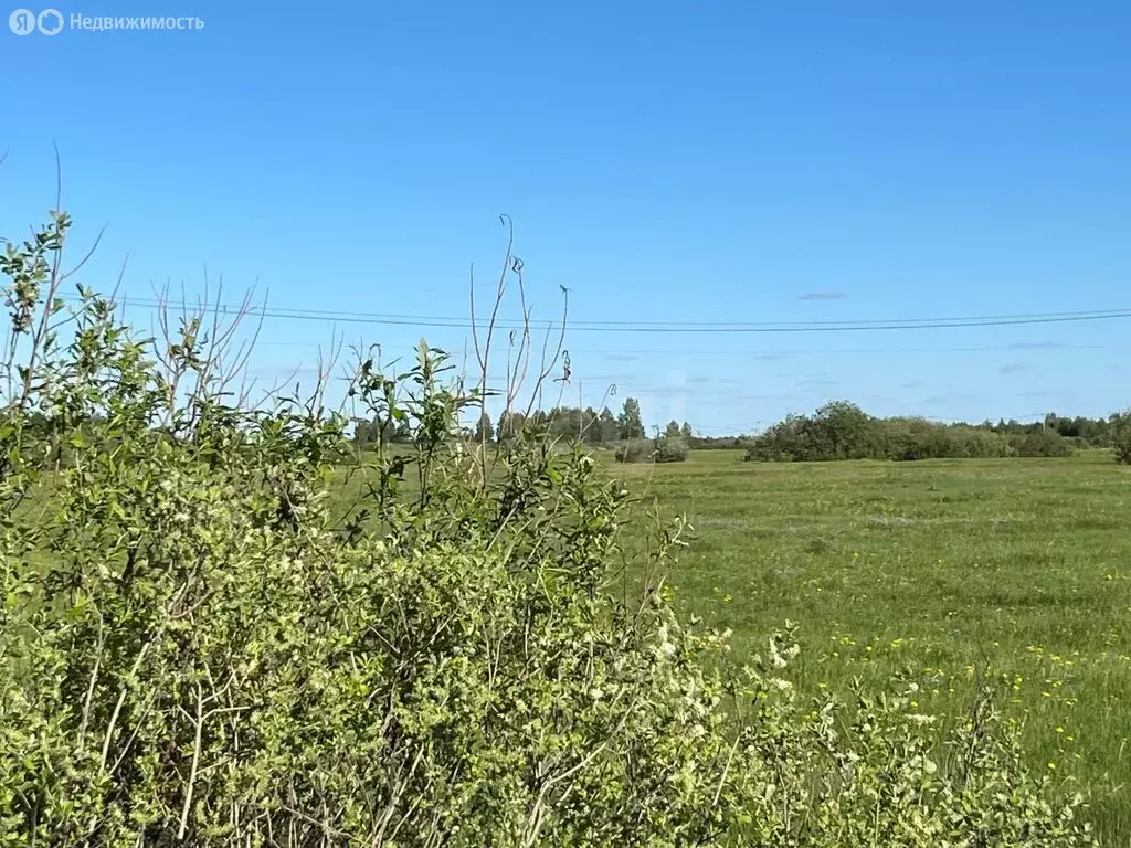 Участок в Тюмень, Ленинский округ (80 м) - Фото 2