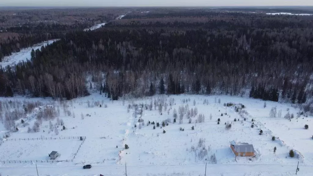 Участок в Томская область, Томский район, Новые Вешки ДНТ ул. ... - Фото 1