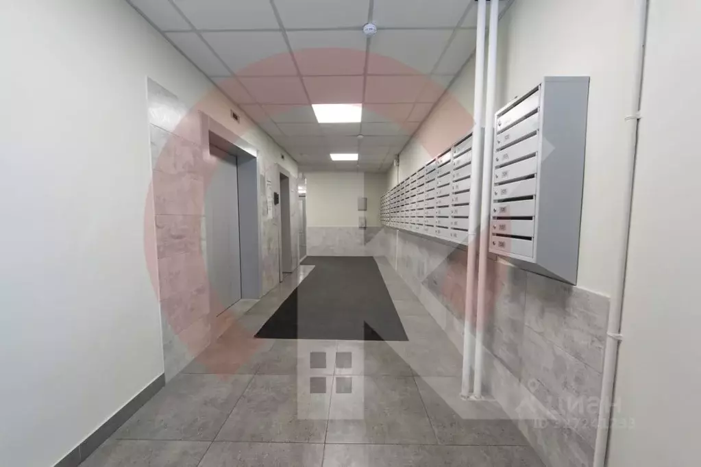 2-к кв. Московская область, Видное ул. Ольховая, 11 (65.0 м) - Фото 2