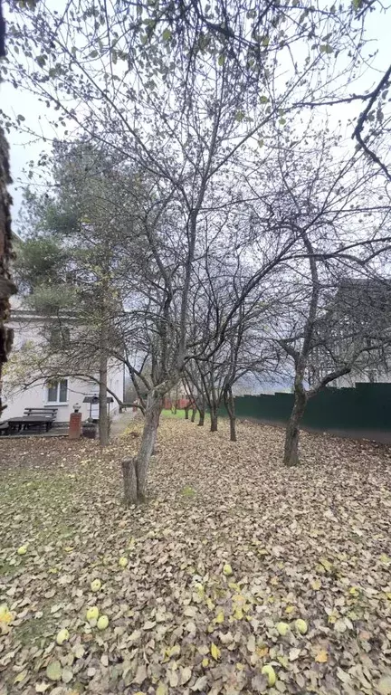 Коттедж в Московская область, Дмитровский муниципальный округ, с. ... - Фото 1