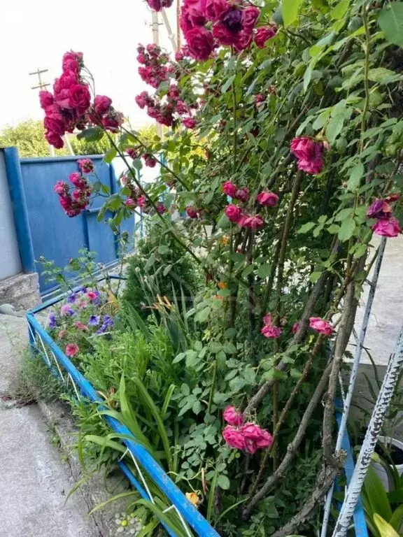 Дом в Юца, улица Гладской, 2 (150 м) - Фото 2