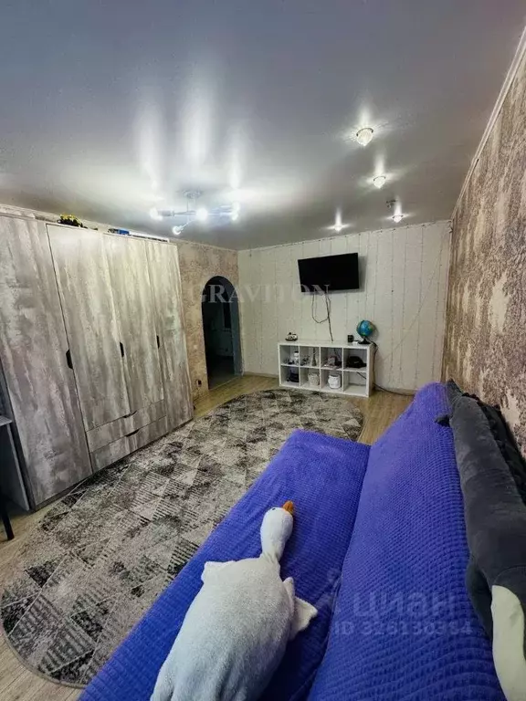 2-к кв. Алтай, Майминский район, с. Кызыл-Озек Советская ул., 75 (52.0 ... - Фото 1