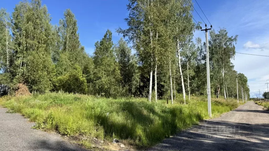 Участок в Ленинградская область, Всеволожское городское поселение, ... - Фото 0