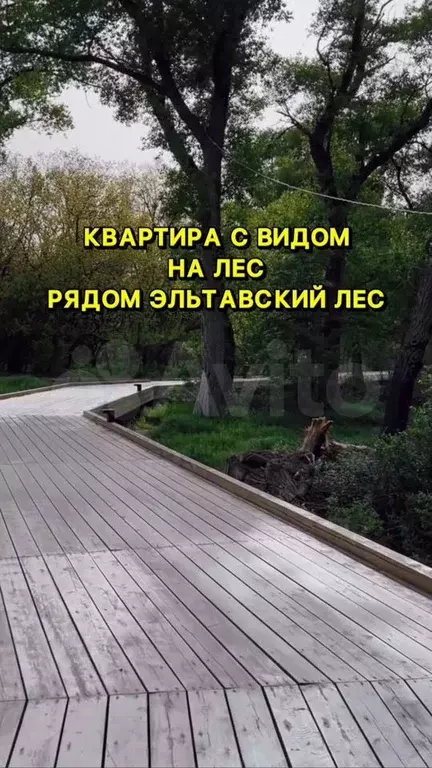 1-к. квартира, 60,7 м, 1/8 эт. - Фото 0