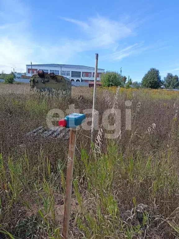 щекино полевой