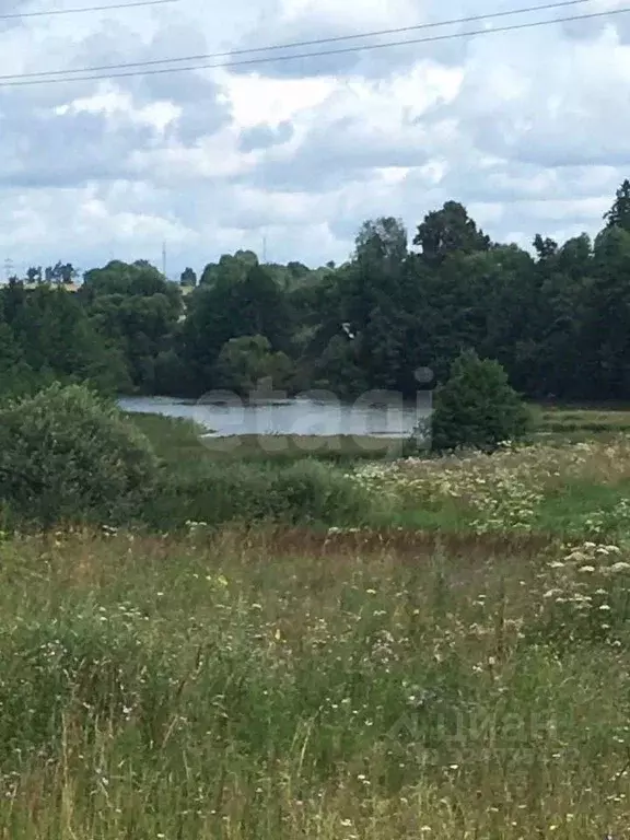 Дом в Калужская область, Мещовск ул. Чернышевского, 60 (100 м) - Фото 2