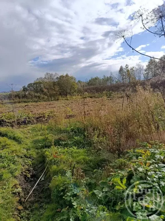 Участок в Ленинградская область, Лужский район, Заклинское с/пос, д. ... - Фото 1