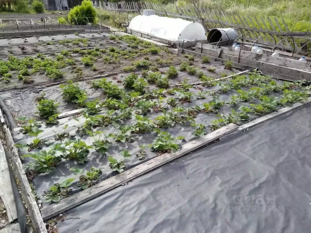 Участок в Хабаровский край, Комсомольск-на-Амуре АО АСЗ сад № 8 СНТ, ... - Фото 2