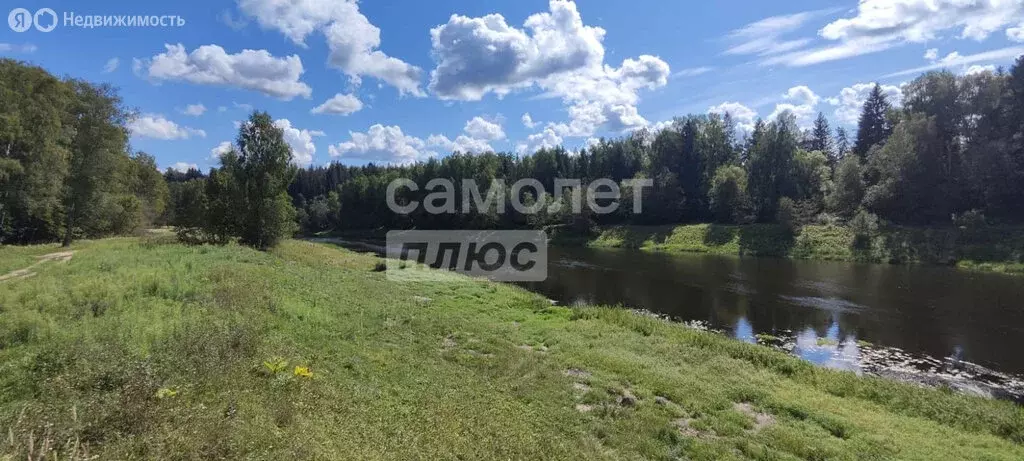 Участок в Московская область, Рузский муниципальный округ (25 м) - Фото 1