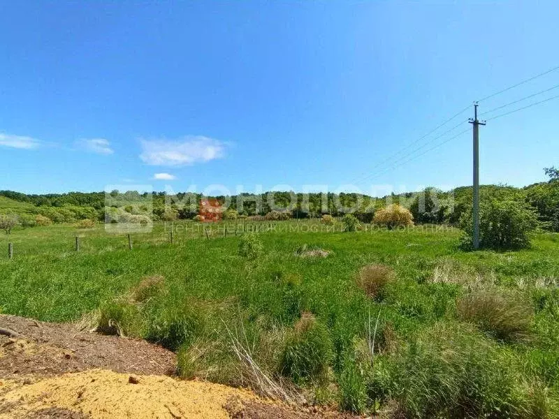 Участок в Амурская область, Серышевский муниципальный округ, с. ... - Фото 1