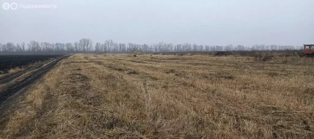 Участок в Пензенская область, село Бессоновка (150 м) - Фото 2