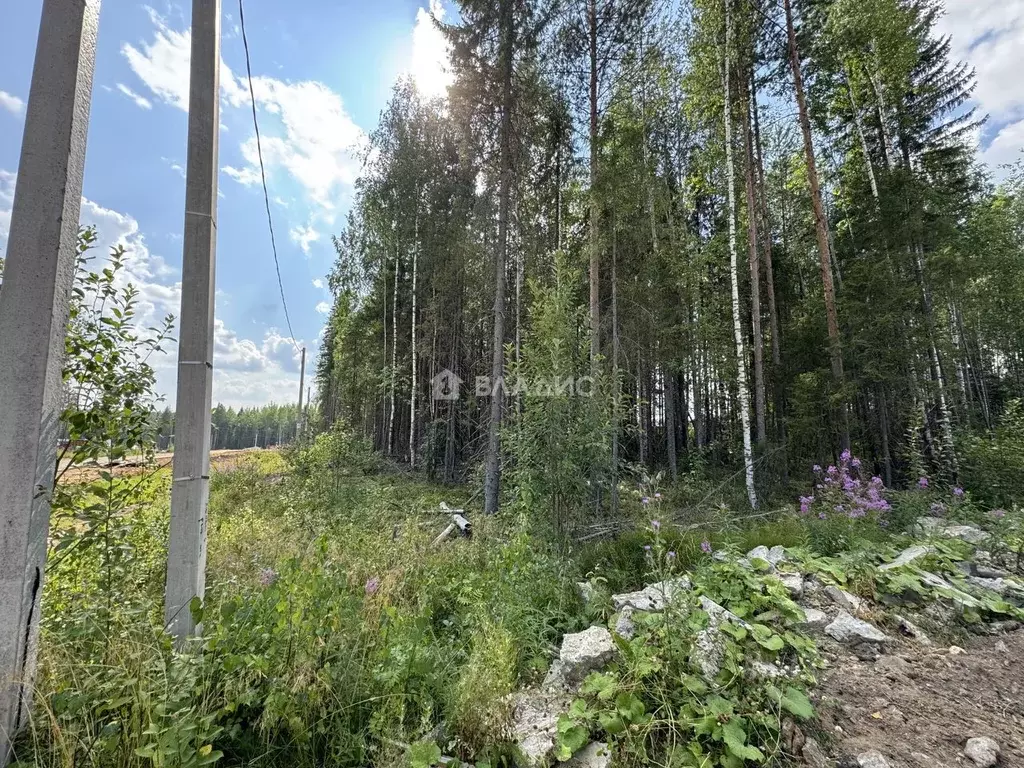 Участок в Коми, Сыктывкар ул. 10-я Линия (15.0 сот.) - Фото 1