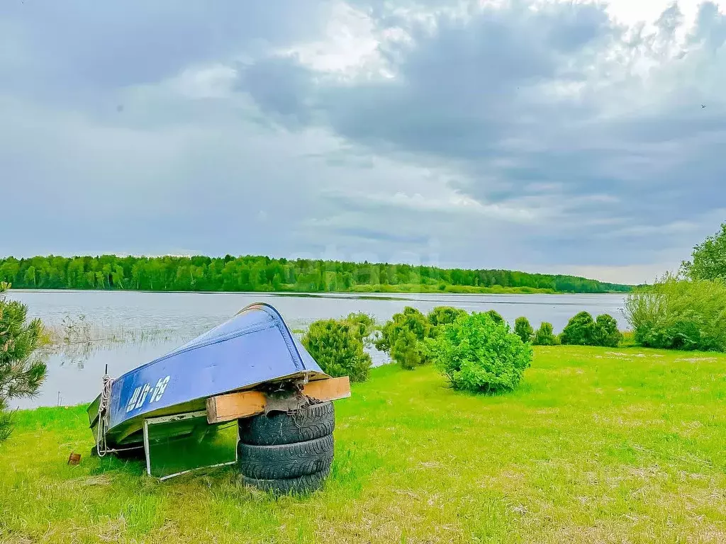 Дом в Ярославская область, Пошехонский муниципальный округ, ... - Фото 1