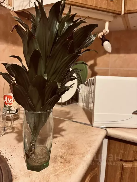 1-к кв. Санкт-Петербург Гражданский просп., 83К4 (30.0 м) - Фото 1