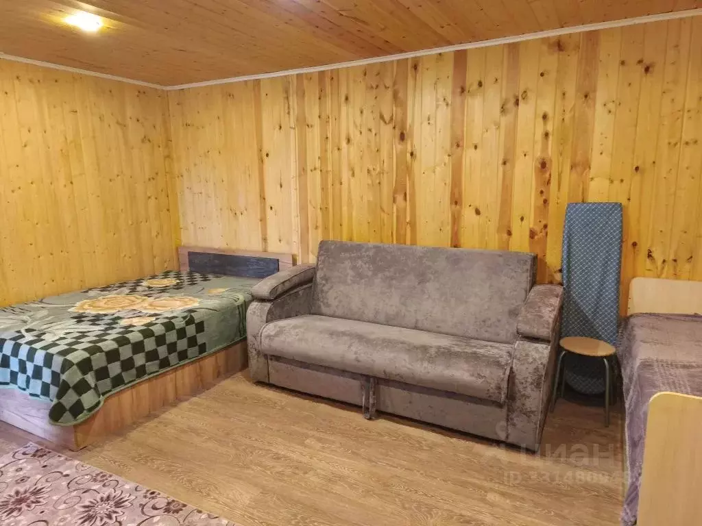 Дом в Алтайский край, Яровое Заводская ул., 54 (30 м) - Фото 1