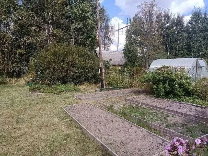 Участок в Ленинградская область, Ломоносовский район, Ропшинское ... - Фото 2