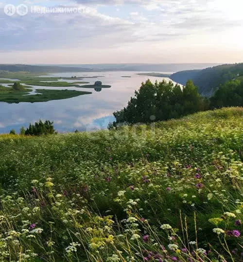 Участок в Пермский муниципальный округ, деревня Софроны (10.6 м) - Фото 1