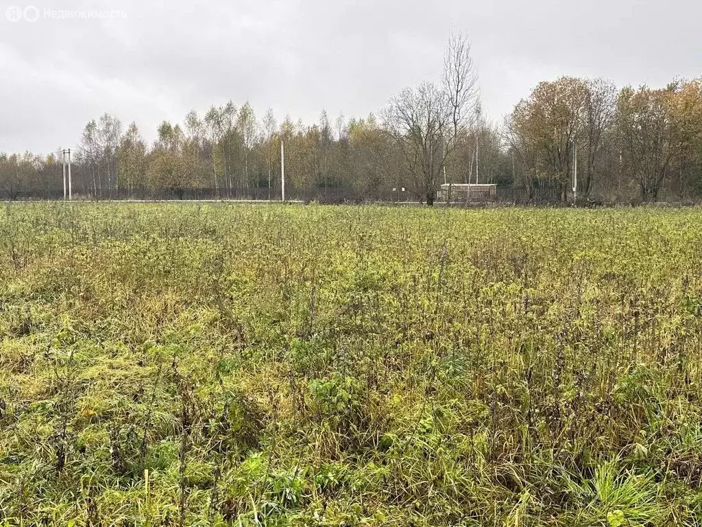 Участок в Московская область, городской округ Клин, деревня Вертково ... - Фото 1