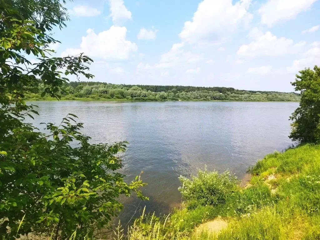 Участок в Тульская область, Ясногорский район, Иваньковское с/пос, ... - Фото 1