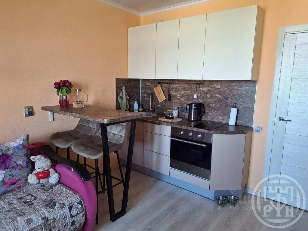 Студия Санкт-Петербург Парашютная ул., 42к1 (25.4 м) - Фото 2