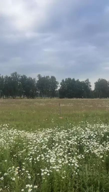 Участок в Московская область, Ступино городской округ, Шелково Парк кп ... - Фото 1