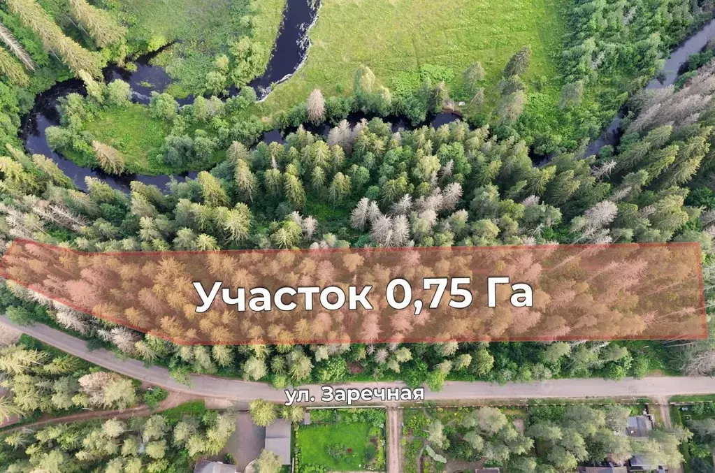 Участок в Ленинградская область, Выборгский район, Рощино городской ... - Фото 1