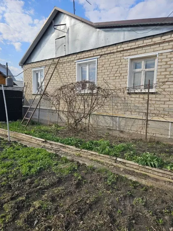 Дом в Воронежская область, с. Репьевка ул. Спортивная (61 м) - Фото 1