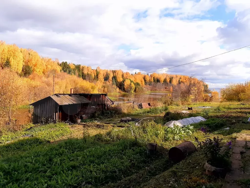 Село ножовка пермский край. Село Змеевка Пермский край. Змеевка Пермский край Частинский район. Змеевка Пермский край Кама. Частинский район село змеёвка.