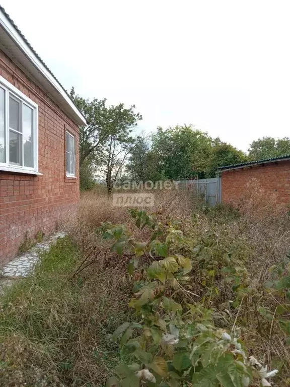 Дом в Краснодарский край, Тимашевский район, Кубанец с/пос, Беднягина ... - Фото 2