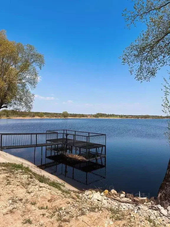 Участок в Московская область, Воскресенск городской округ, д. ... - Фото 1