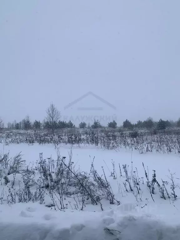 Участок в Калужская область, Село Ферзиково с/пос, д. Кросна  (13.0 ... - Фото 2