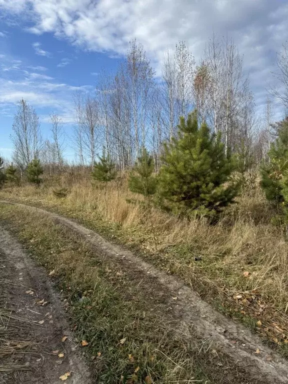 Участок в Томская область, Томск Каменка мкр,  (18.0 сот.) - Фото 0