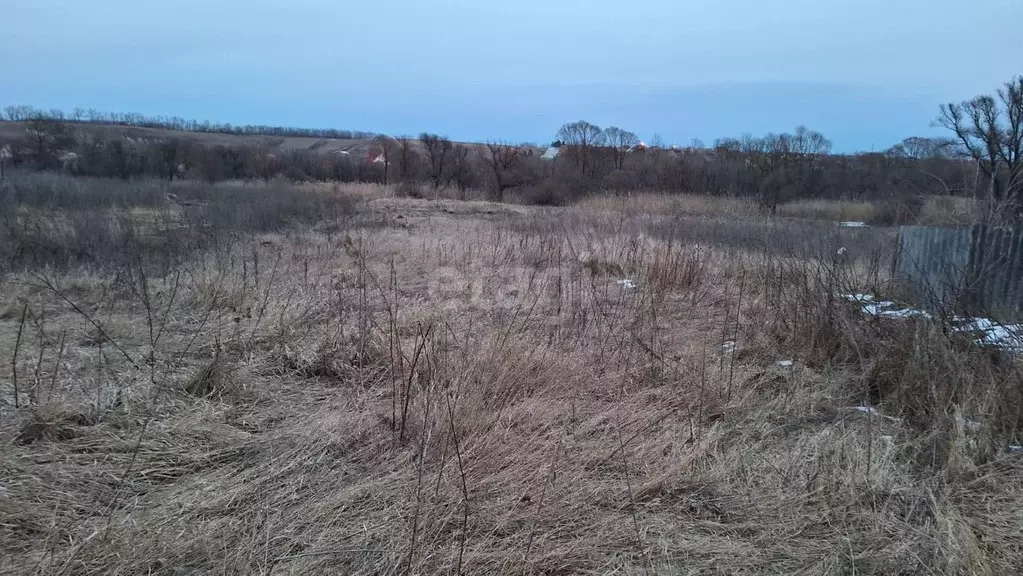 Участок в Белгородская область, Белгородский район, Пушкарское с/пос, ... - Фото 0