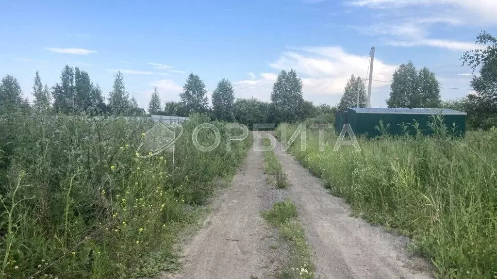 Участок в Тюменская область, Тюмень Поле Чудес садовое товарищество, ... - Фото 0