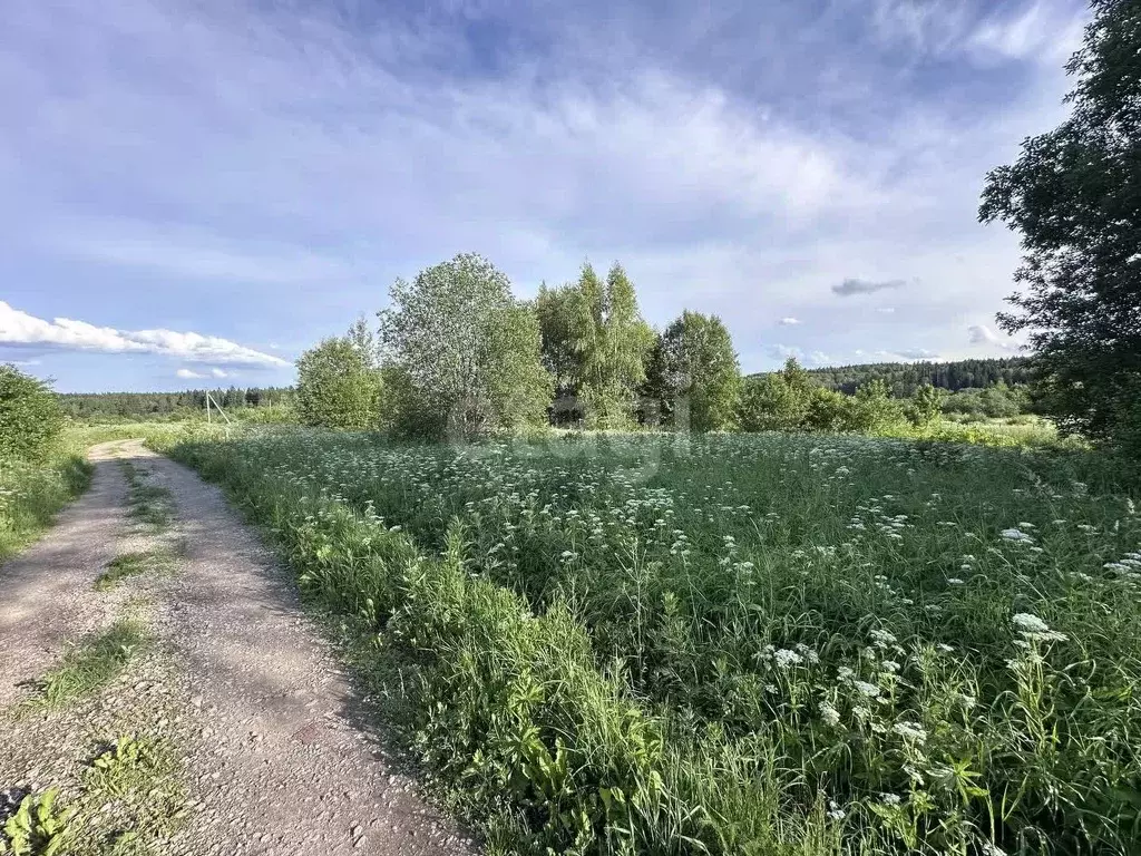 Участок в Московская область, Клин городской округ, д. Марфино 1 (16.5 ... - Фото 1