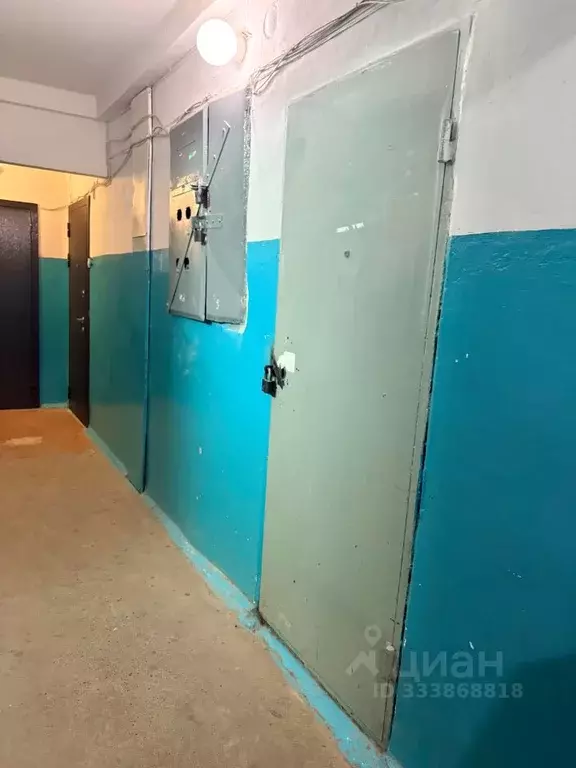 Помещение свободного назначения в Чувашия, Чебоксары ул. Чапаева, 4 (8 ... - Фото 2