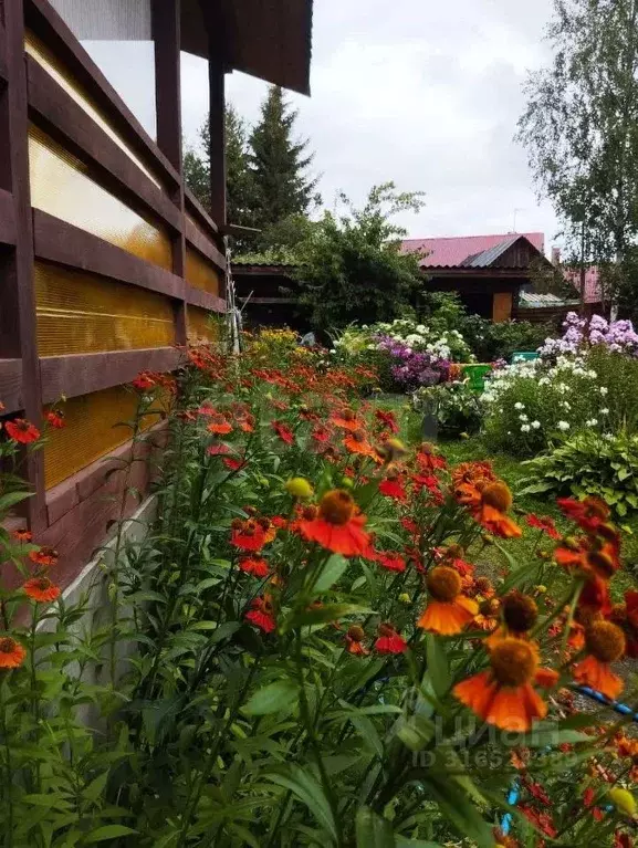 Дом в Санкт-Петербург пос. Парголово, ул. Первого Мая, 26 (200 м) - Фото 1