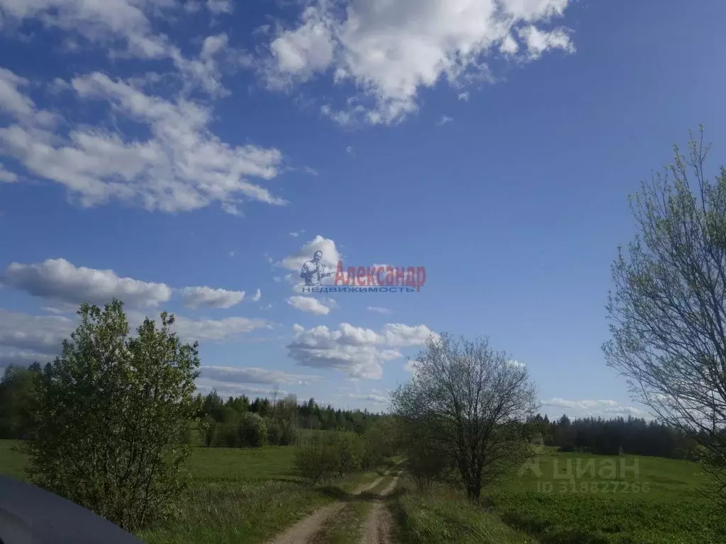 Участок в Карелия, Лахденпохский муниципальный округ, пос. Ринтала  ... - Фото 1