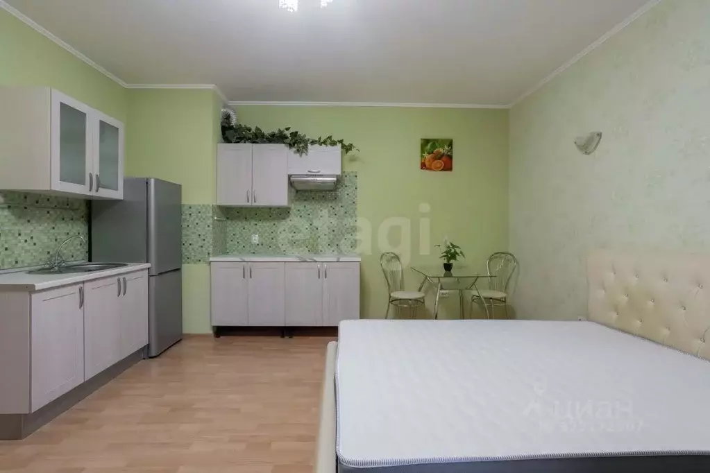 Студия Ленинградская область, Кудрово г. Всеволожский район, Заневское ... - Фото 1