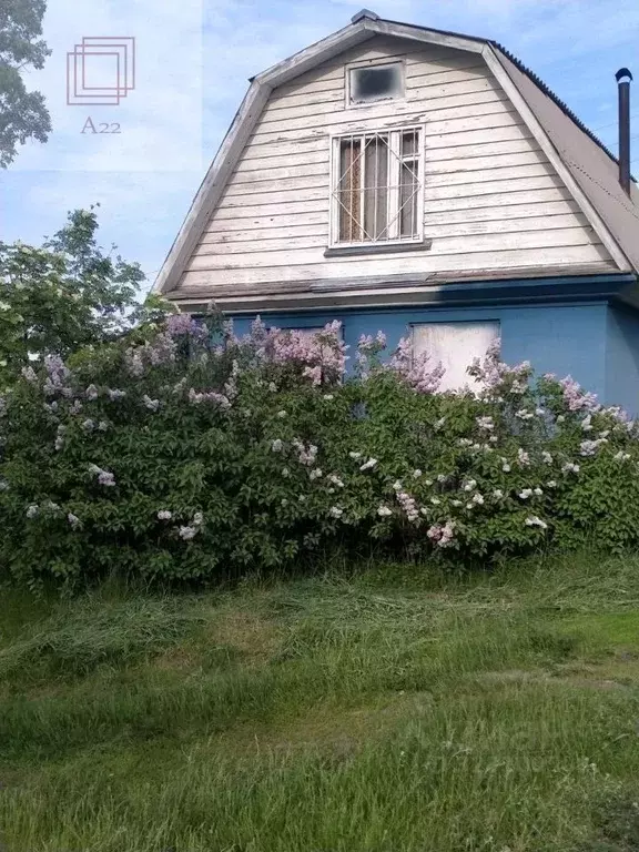 Дом в Алтайский край, Первомайский район, пос. Кислуха ул. Цветочная, ... - Фото 2