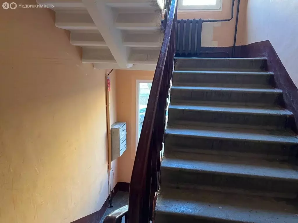 3-комнатная квартира: Санкт-Петербург, улица Белы Куна, 13к3 (41.5 м) - Фото 2