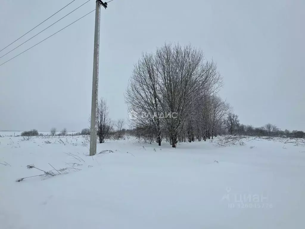 Участок в Владимирская область, Суздальский район, Боголюбовское ... - Фото 1