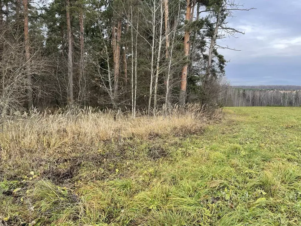 Участок в Владимирская область, Кольчугинский муниципальный округ, д. ... - Фото 2