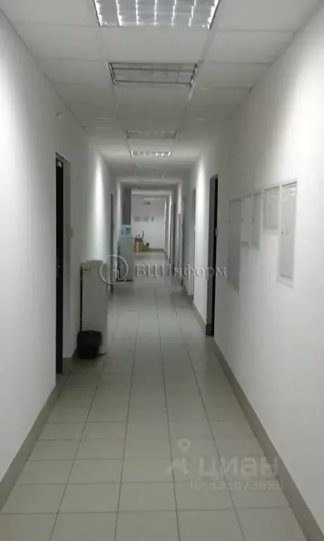 Офис в Санкт-Петербург ул. Ивана Черных, 31-33 (446 м) - Фото 1