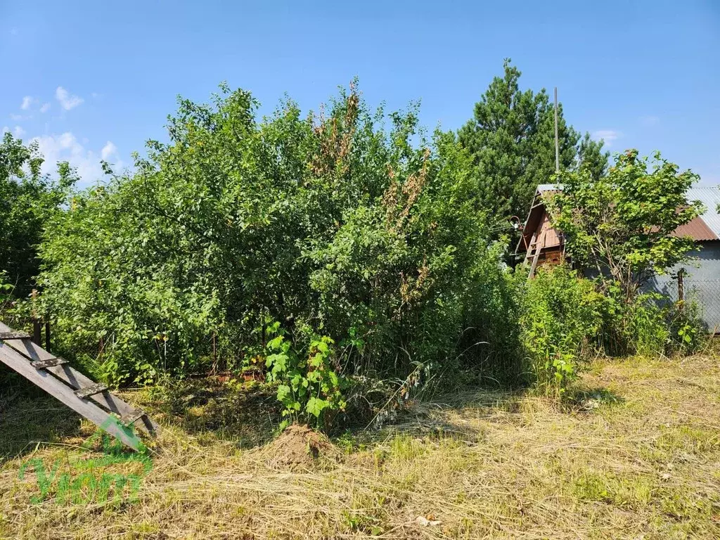 Дом в Московская область, Раменский муниципальный округ, Горка СНТ 266 ... - Фото 1