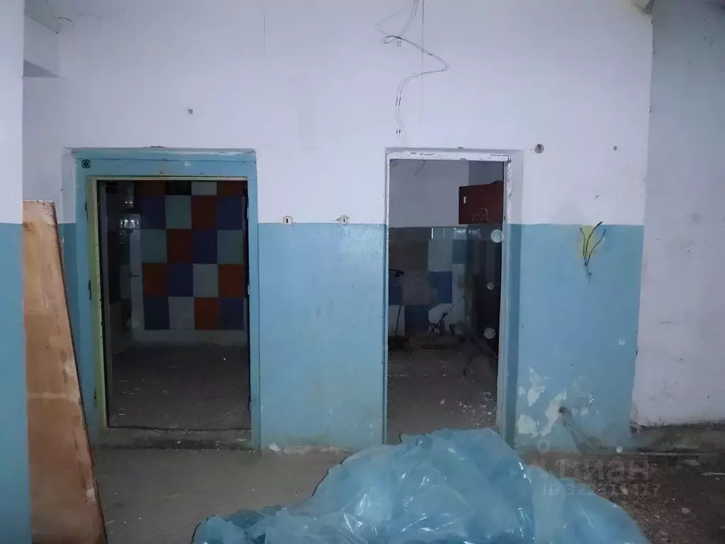 Помещение свободного назначения в Омская область, Омский район, с. ... - Фото 1