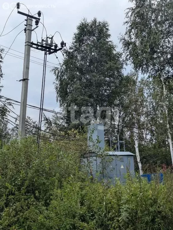 Участок в Тюмень, садовое товарищество Поле Чудес, Западная улица (10 ... - Фото 2