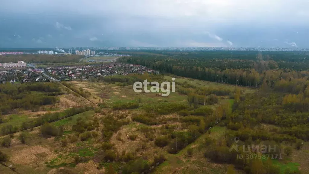 Участок в Ленинградская область, Всеволожский район, Янино-1 городской ... - Фото 0