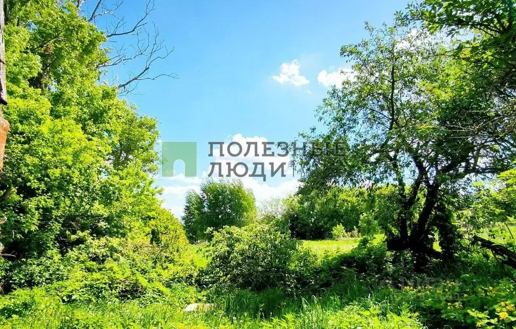 Участок в Орловская область, Орловский район, д. Паньково (Неполодское ... - Фото 1